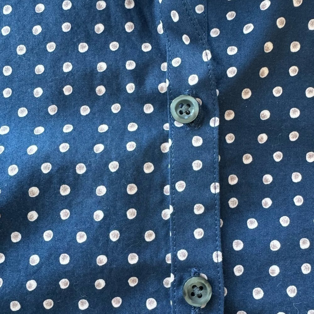 Land’s End No Iron Supima Cotton Blouse Women’s Size 10P - Picture 11 of 11